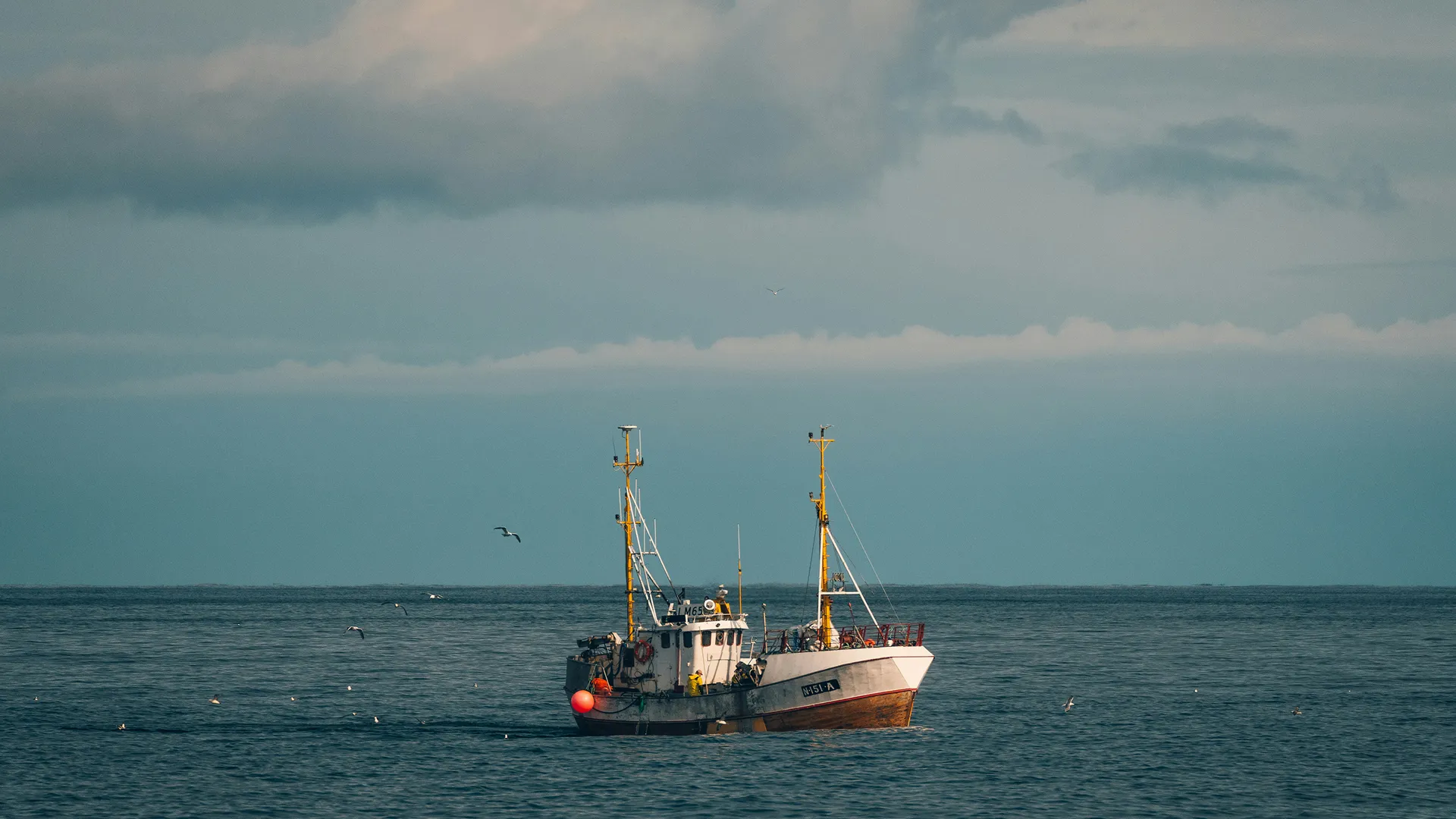 A white and orange fishing boat on a calm sea under a cloudy sky with seagulls flying around.