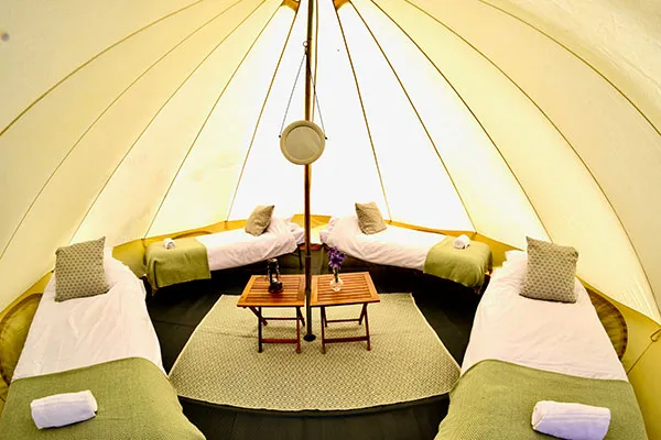 4 Single Beds placed in luxury cream coloured bell tent