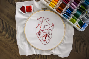 an embroidery hoop with an anatomically correct heart embroidered in red thread