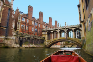 the view from a punt on the river cam in cambridge