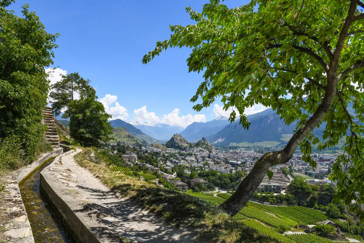 Photo d'un bisse avec vue sur la ville de Sion