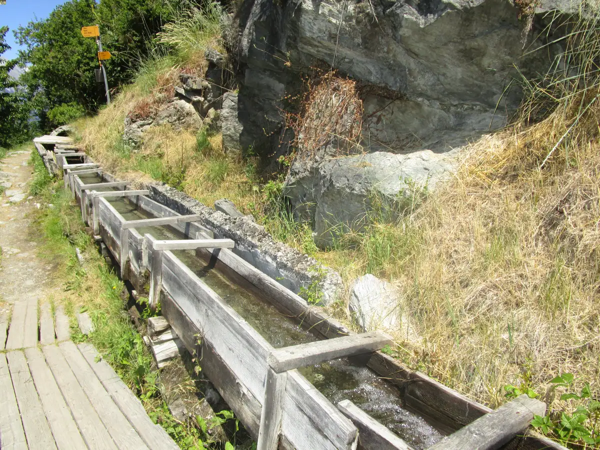 Photo du visse de Vex