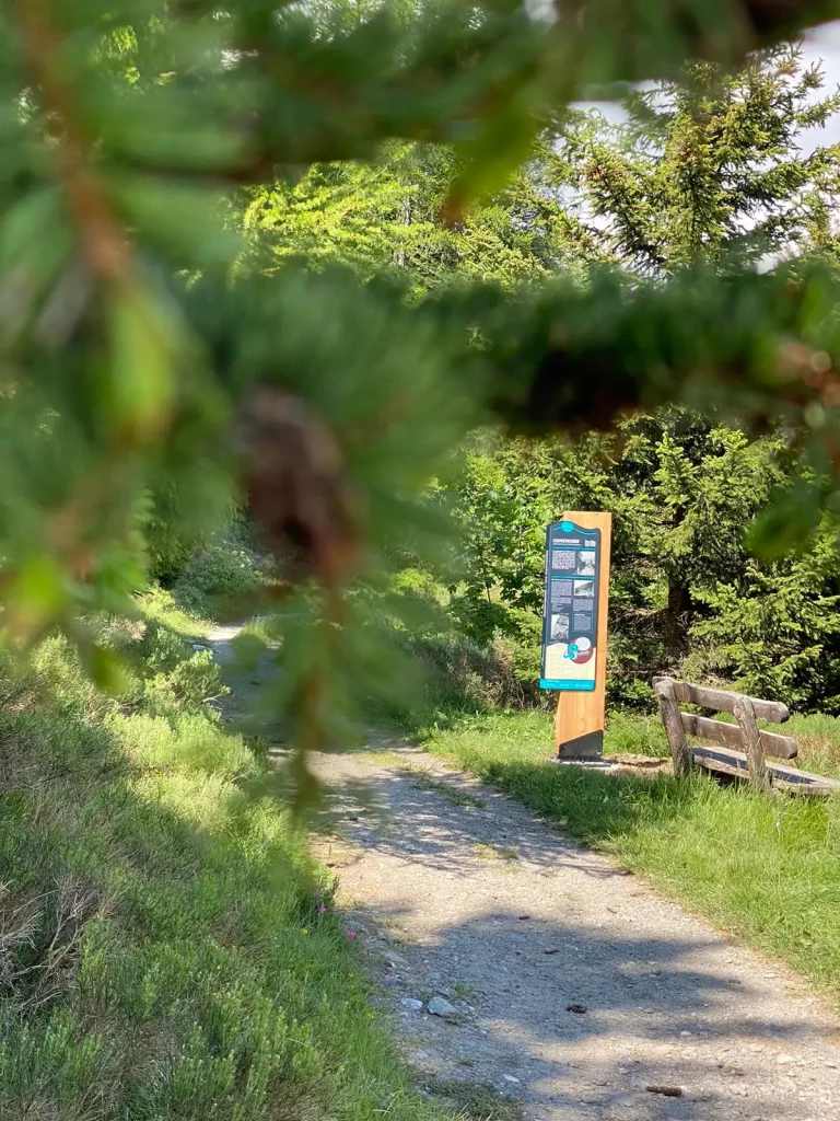 Photo du parcours qui longe le bisse de Sion.