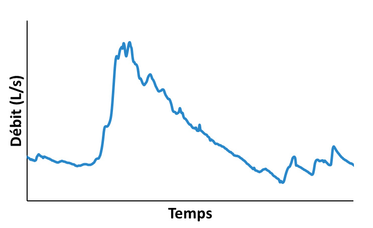 Graph montrant le débit (L/s) par rapport au temps