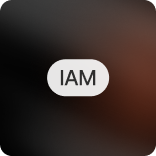 IAM icon