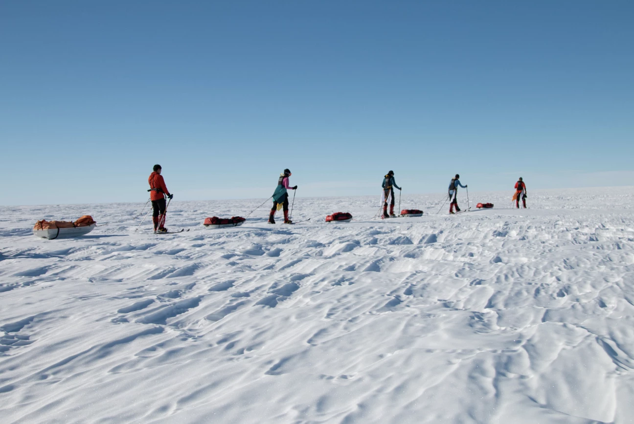 Five skiers pulling sleds across a snowy, flat expanse under a clear blue sky.