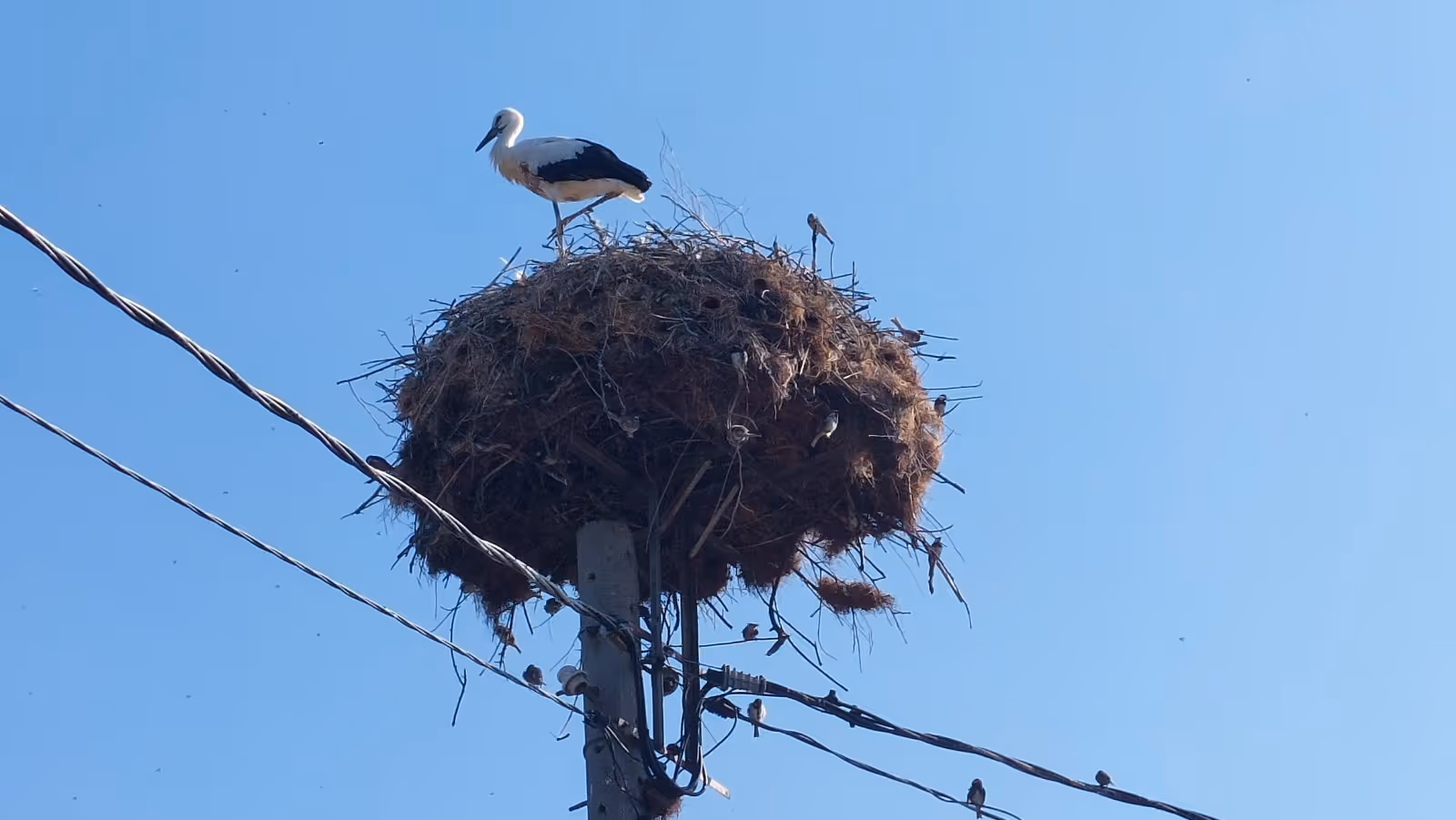 Blog article hero image