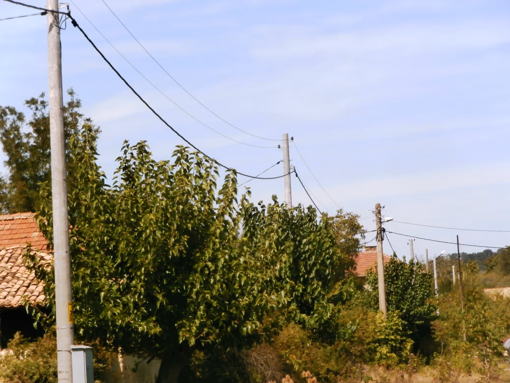 Blog article hero image