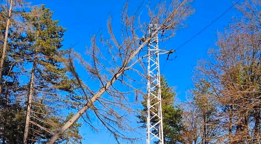 Blog article hero image