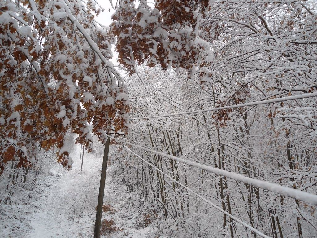 Blog article hero image