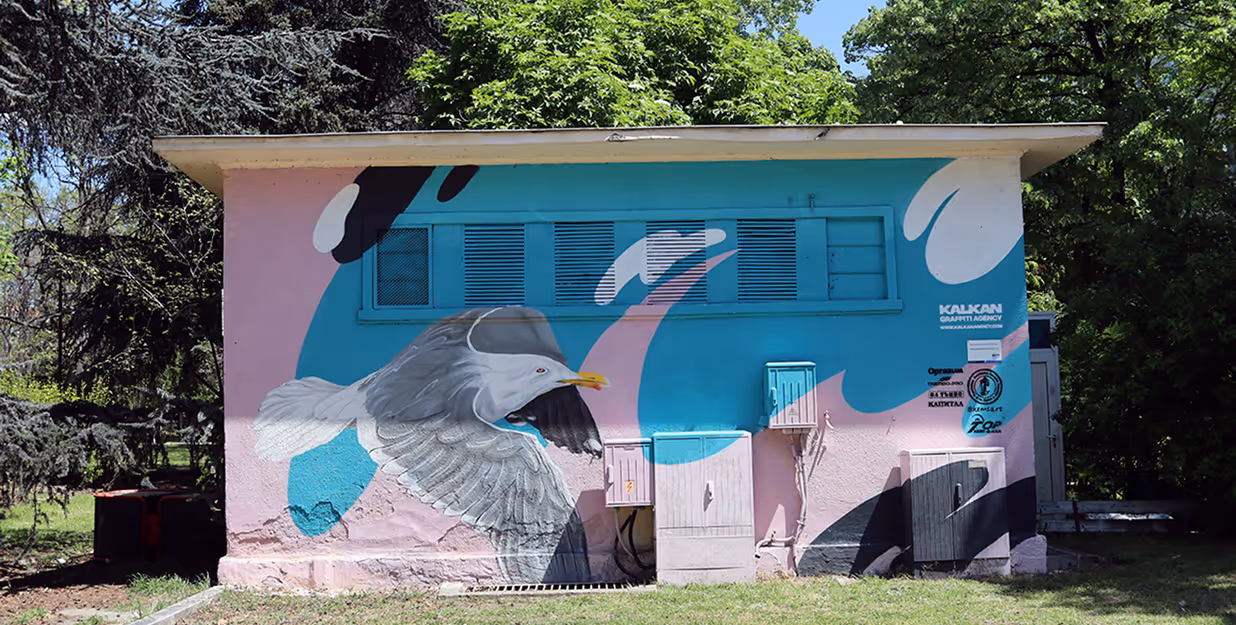 Street art mural of a seagull on an urban utility building — Colorful graffiti mural depicting a flying seagull on a small utility structure