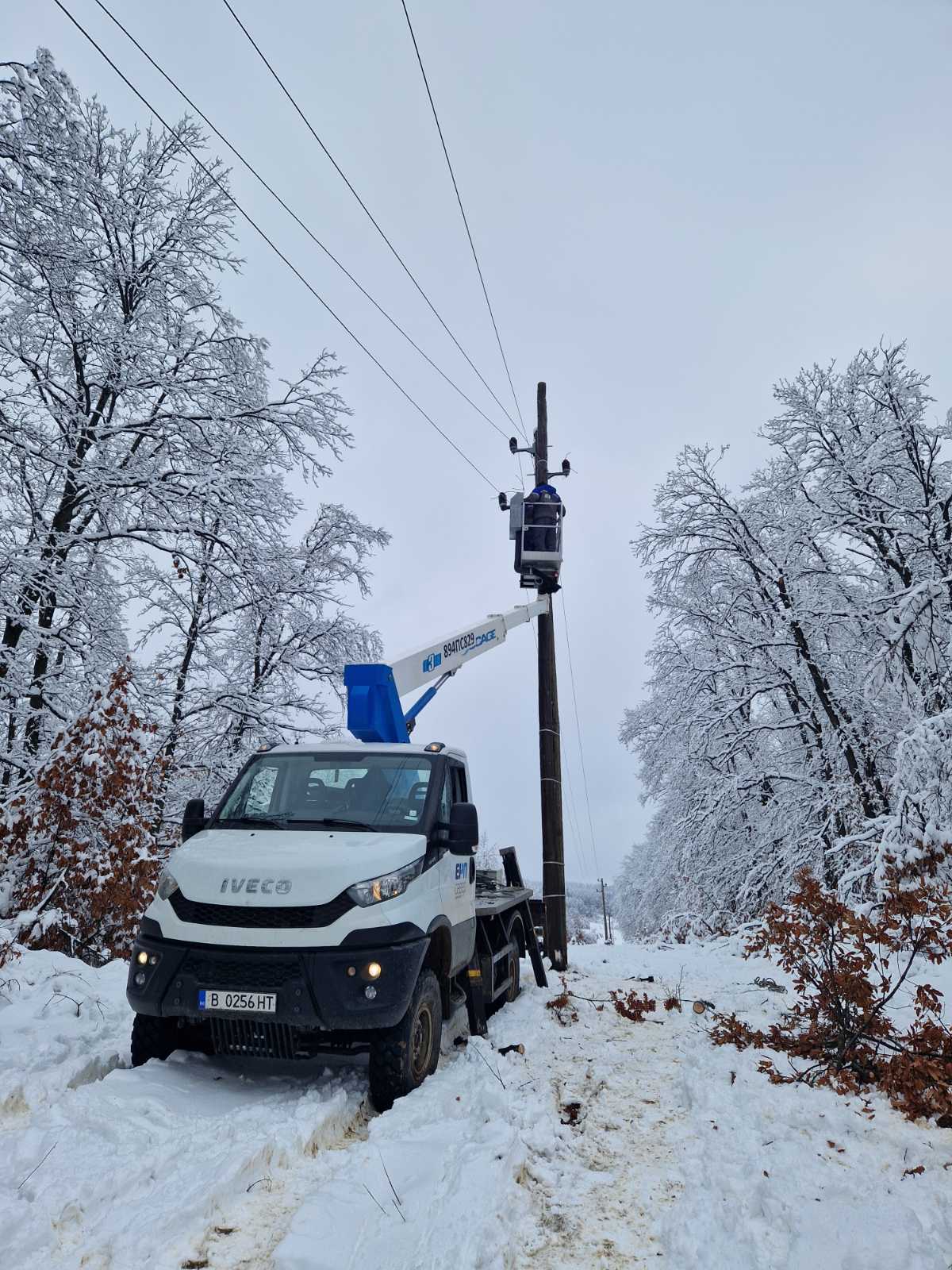 автомобил, сняг