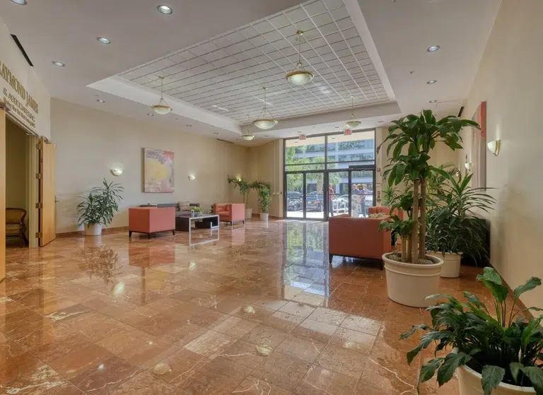 Plymouth Plaza professional offices, Clearwater FL — grounds and landscaping