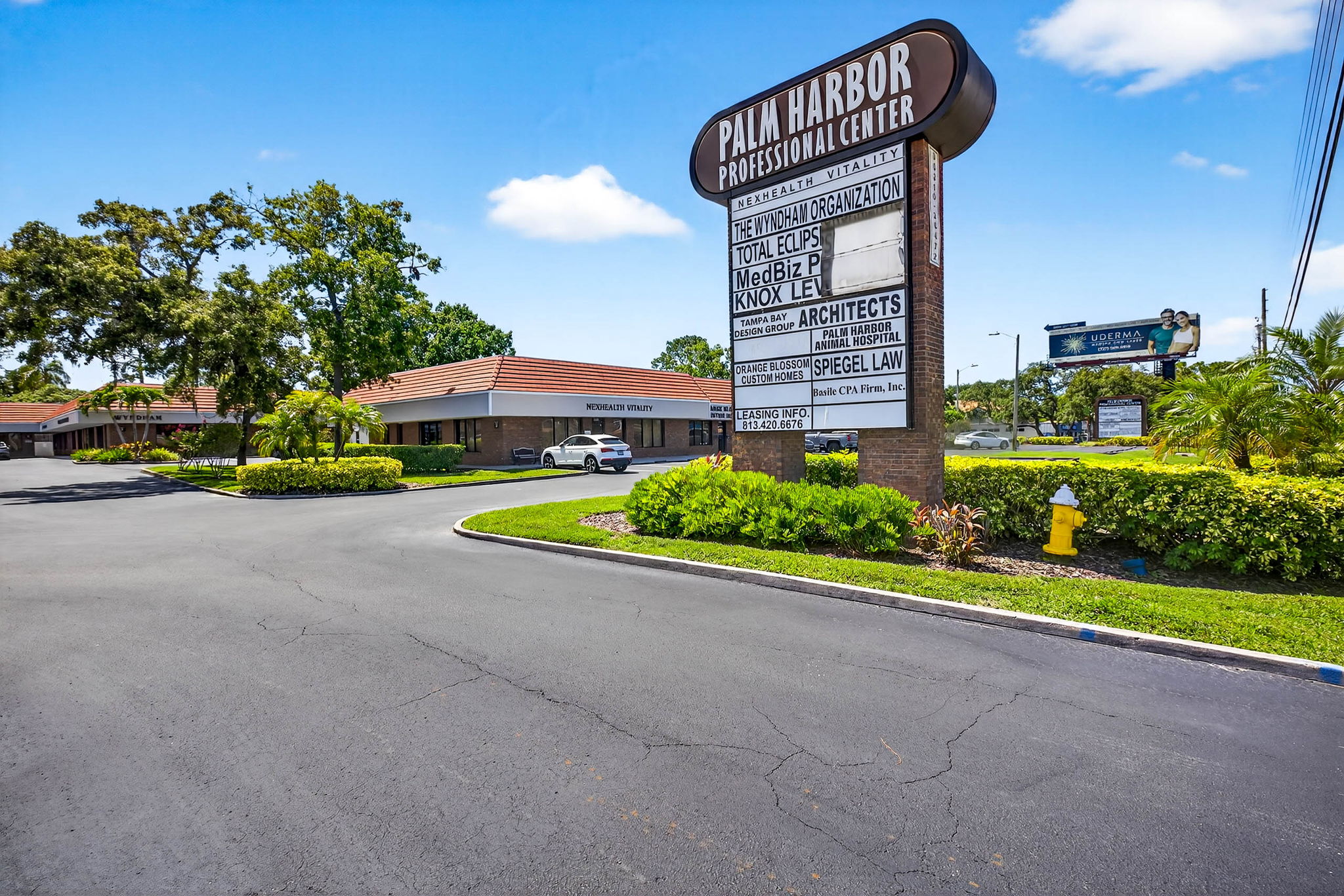 Palm Harbor Professional Center monument sign listing medical and professional tenants