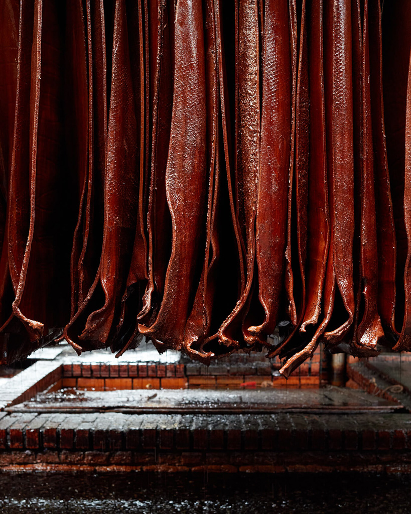 thomas warre tannery photographed by carmel king