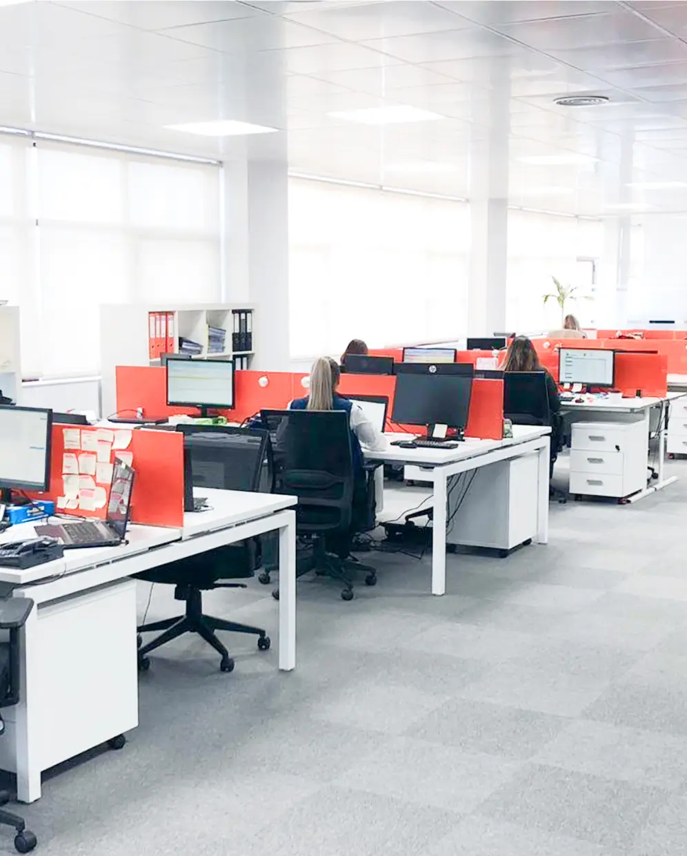 contacto grupo adaptalia