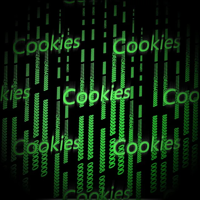 El Reglamento ePrivacy y las cookies