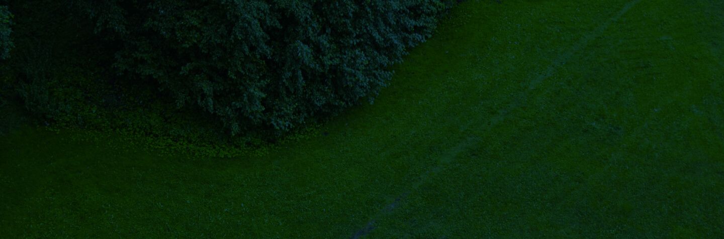 Aerial view of dense forest with green trees and dark shadows