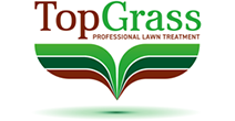 Top Grass Lawn Treatment