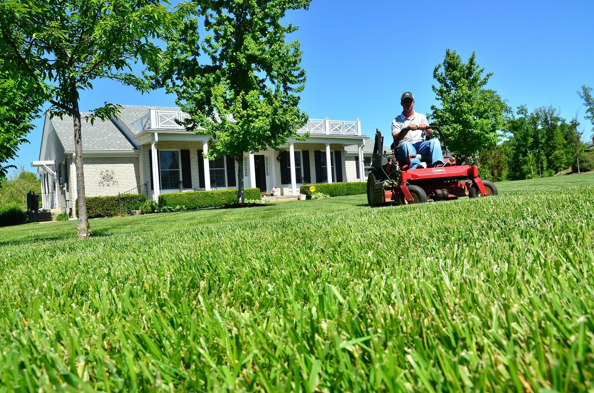 Person mowing lush green lawn in front of white house on sunny day
