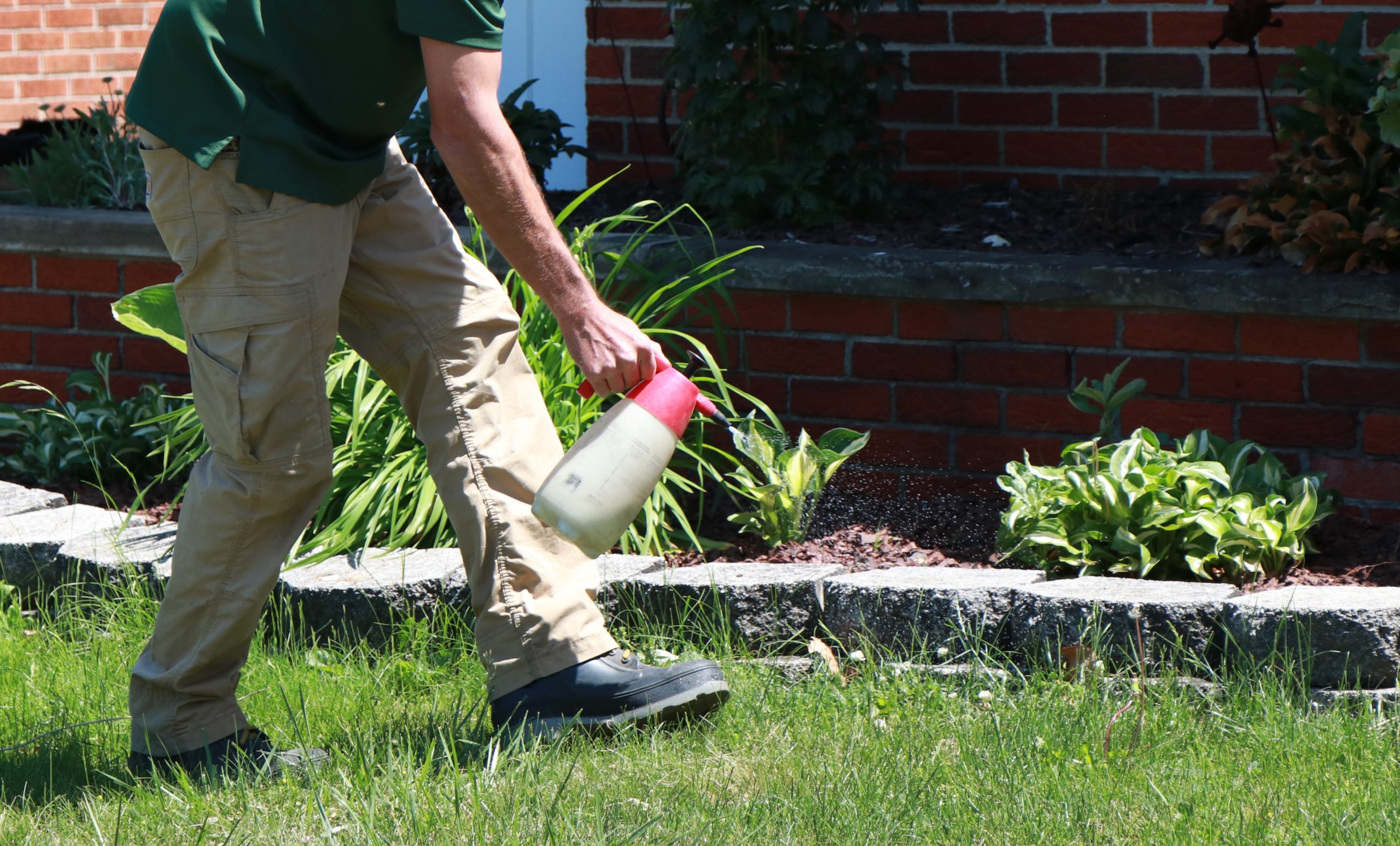 Gardener watering plants near brick wall with white and pink bottle