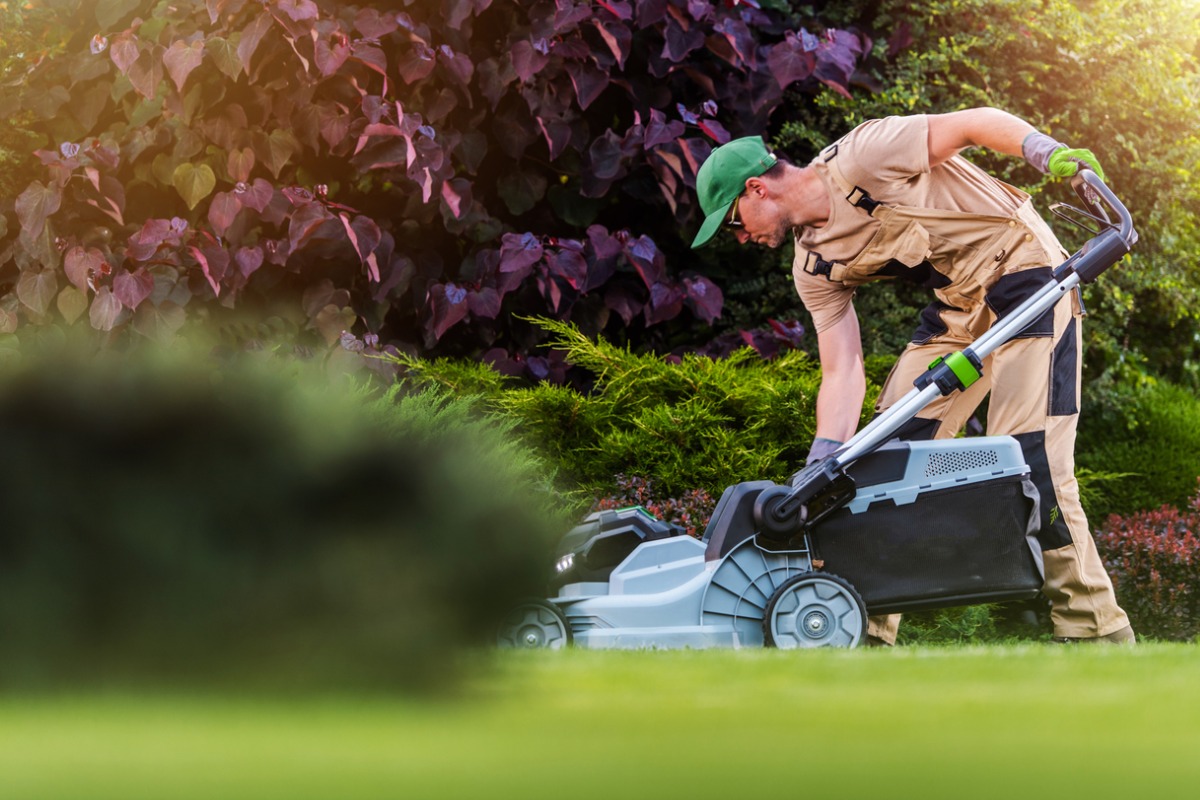 Gardener mowing lawn near colorful plants on a sunny day