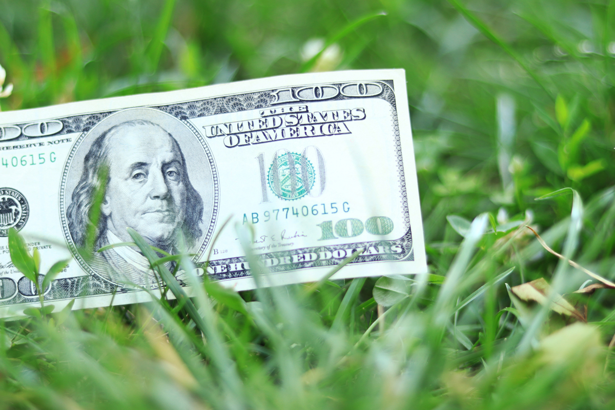 Hundred dollar bill nestled in green grass, symbolizing financial growth