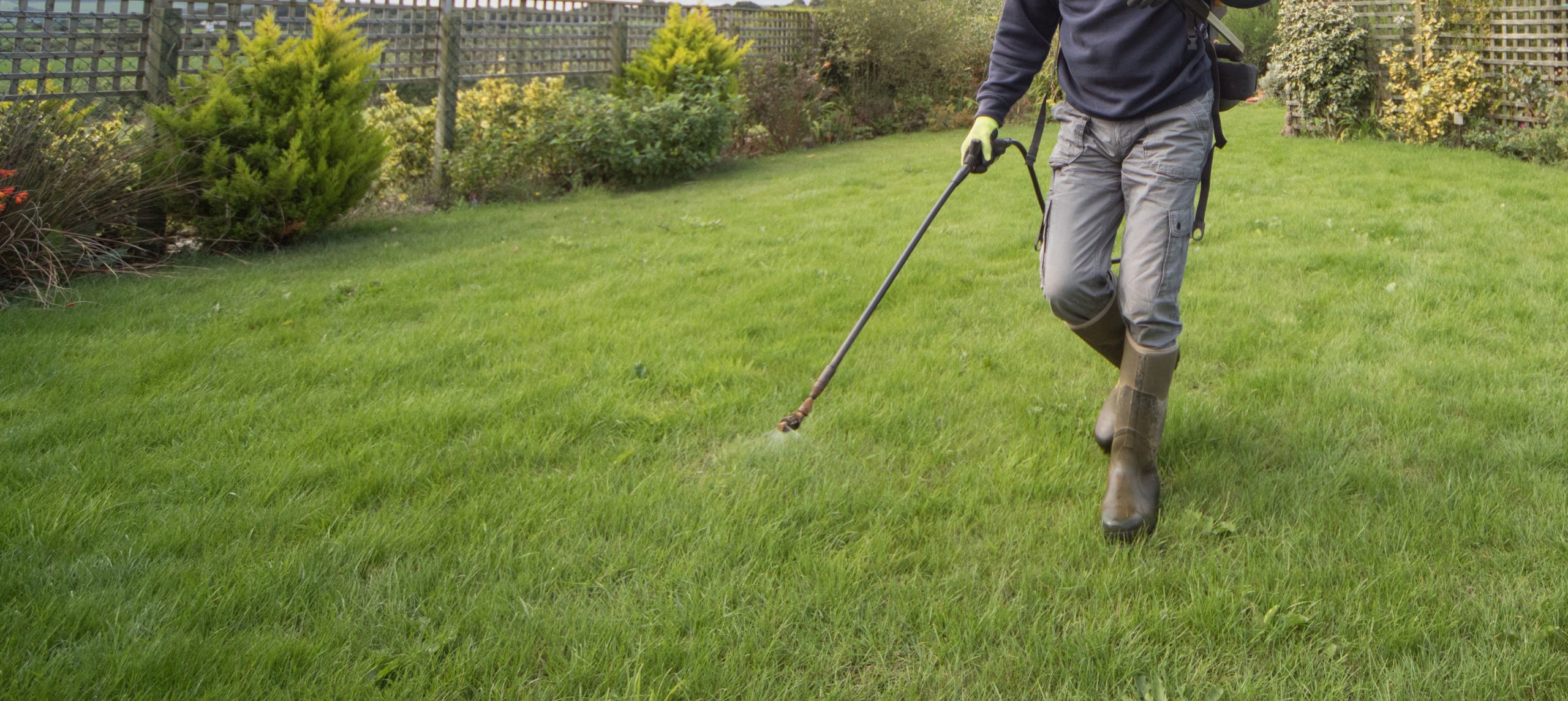 Person spraying lawn with garden sprayer in backyard with green grass