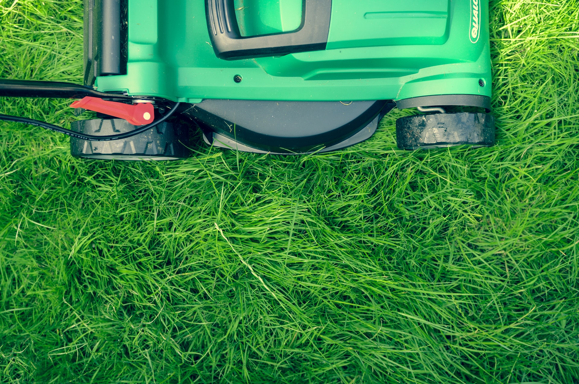 Green lawn mower cutting fresh green grass on a sunny day