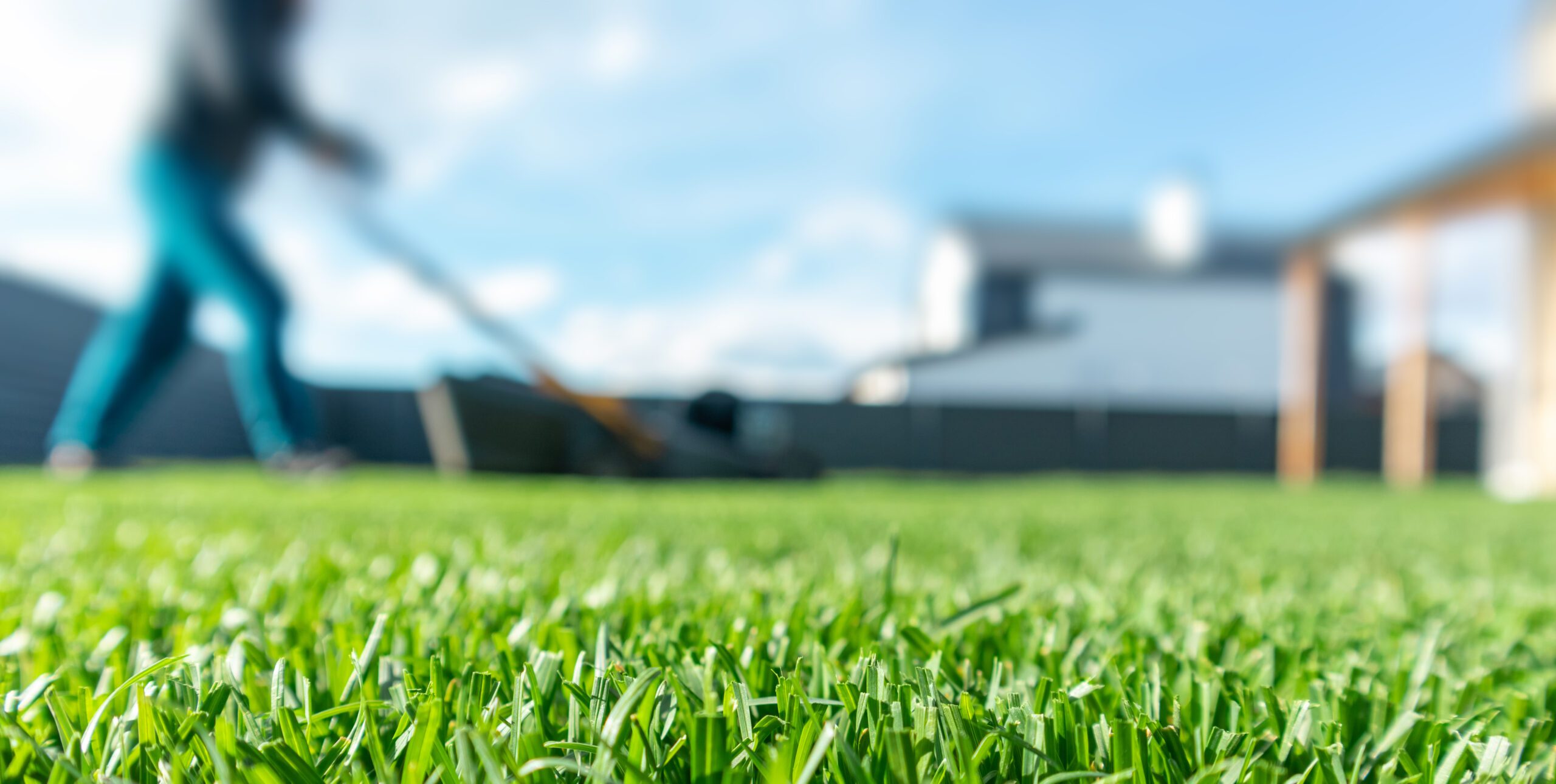 Person mowing bright green lawn with houses in blurry background