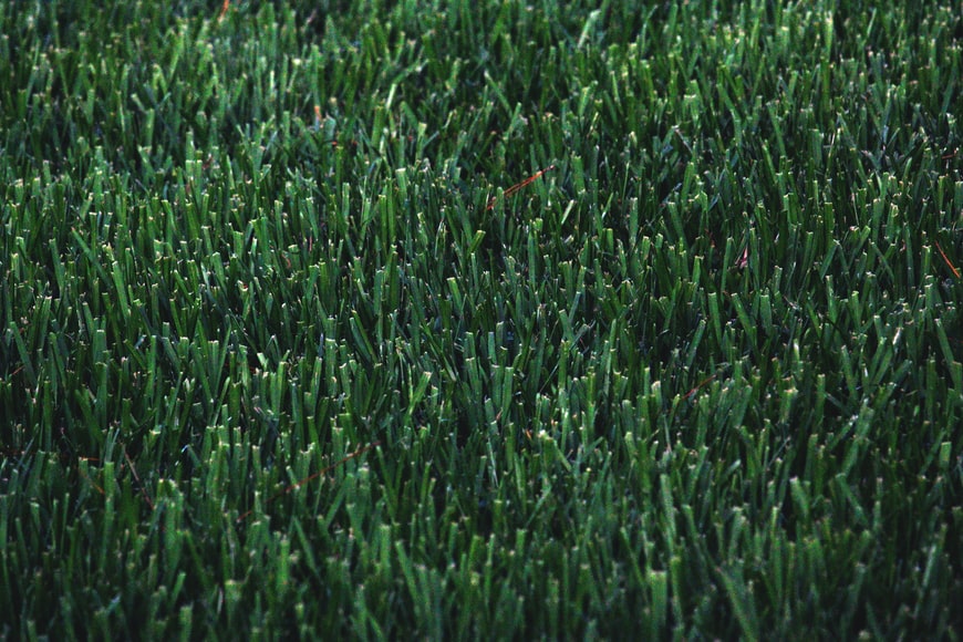 Close-up of dense, green artificial turf with uniform blade texture