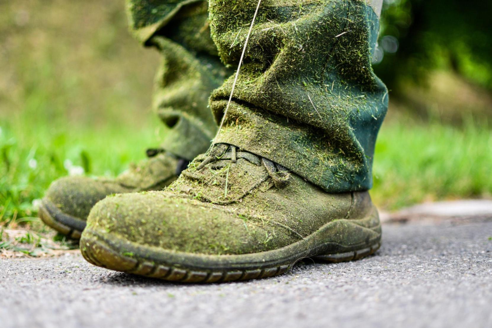 Moss-covered hiking boot standing on concrete and grass