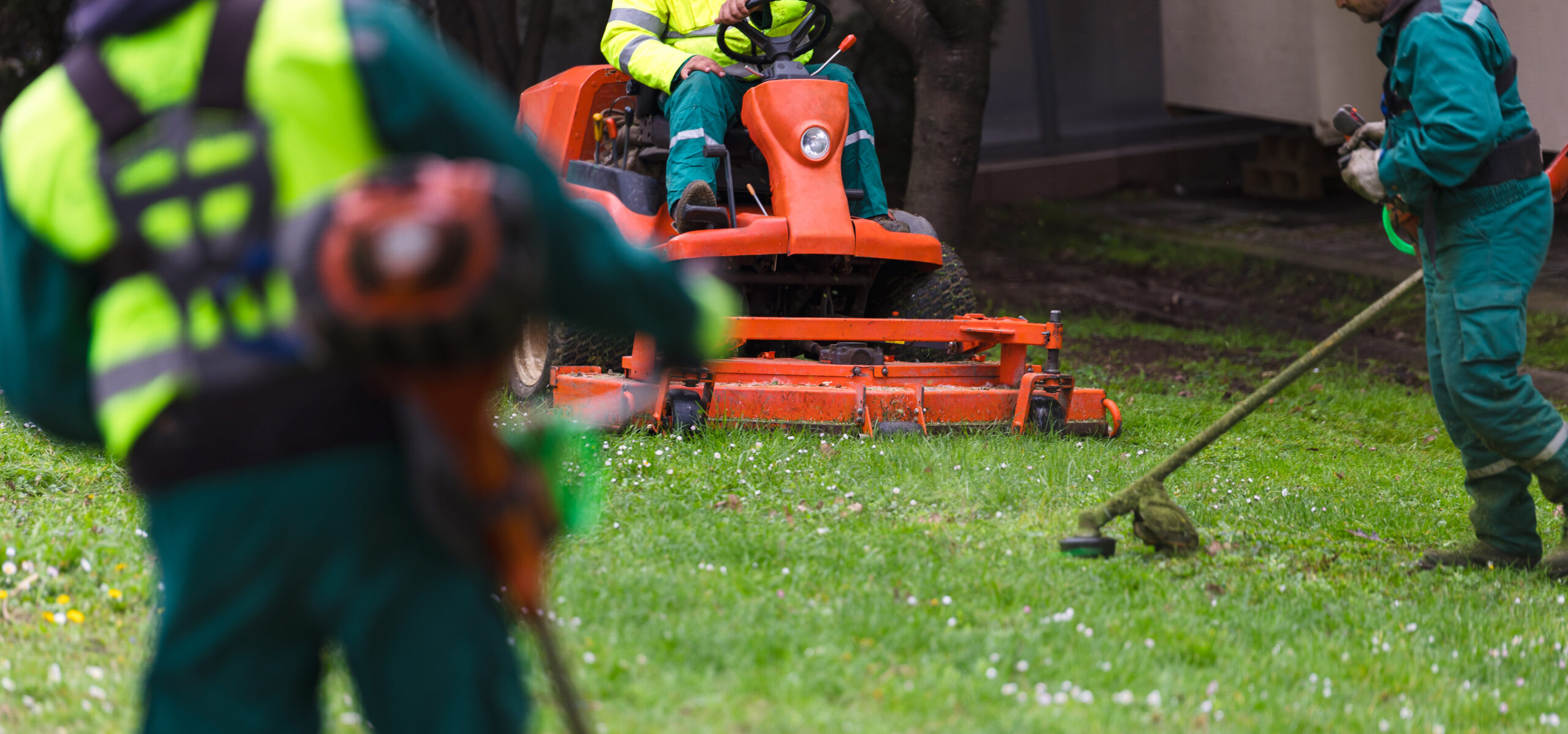 Workers using orange riding mower and trimmer to maintain grassy lawn