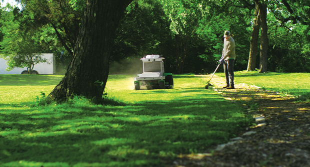 Person mowing lawn near large tree in sunny green park