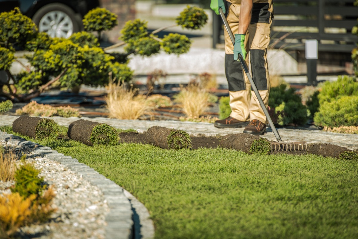 Landscaper laying sod and raking soil in a well-designed garden