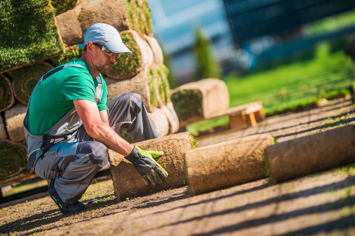 Landscaper installing rolled grass turf on prepared ground