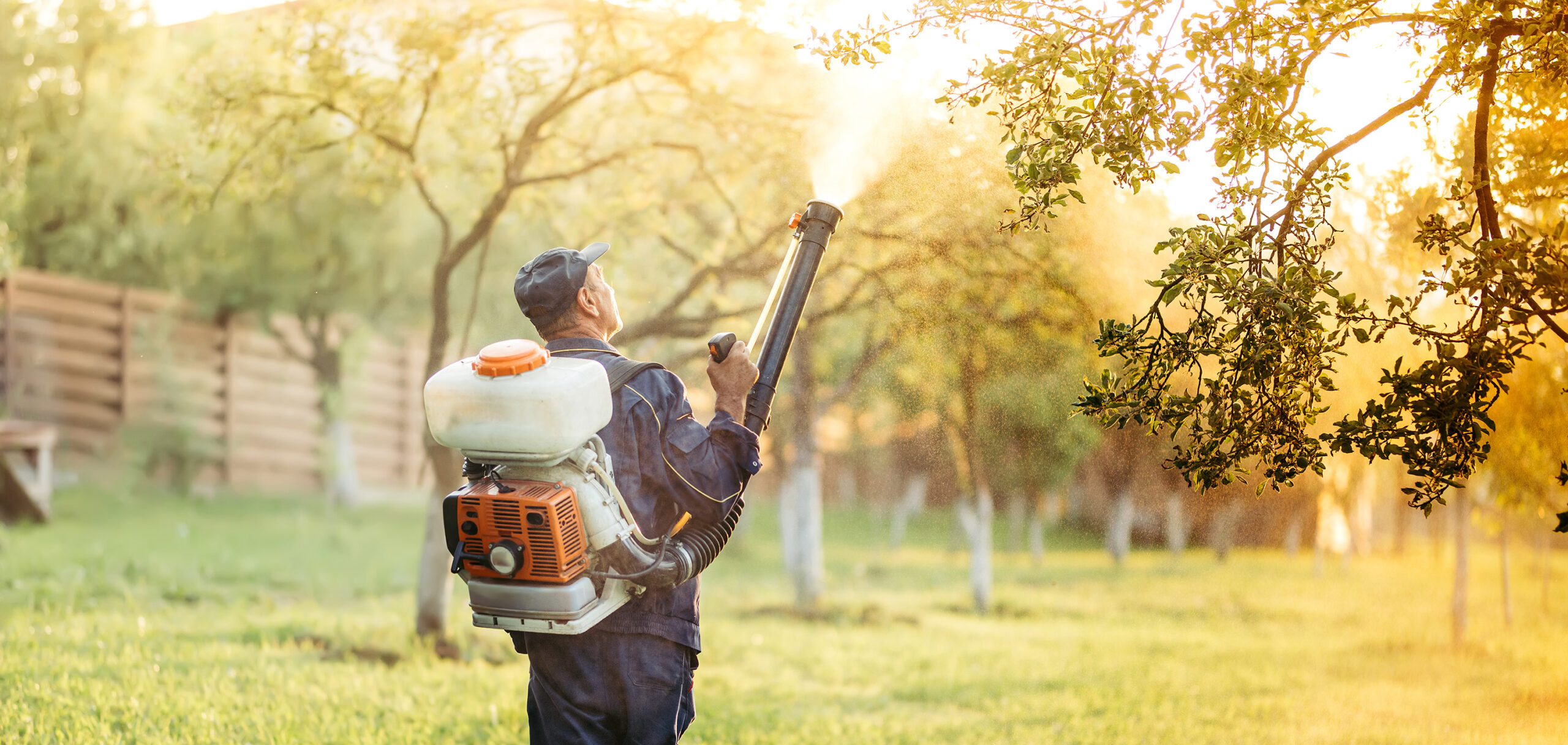 Worker spraying trees with backpack sprayer in sunny orchard