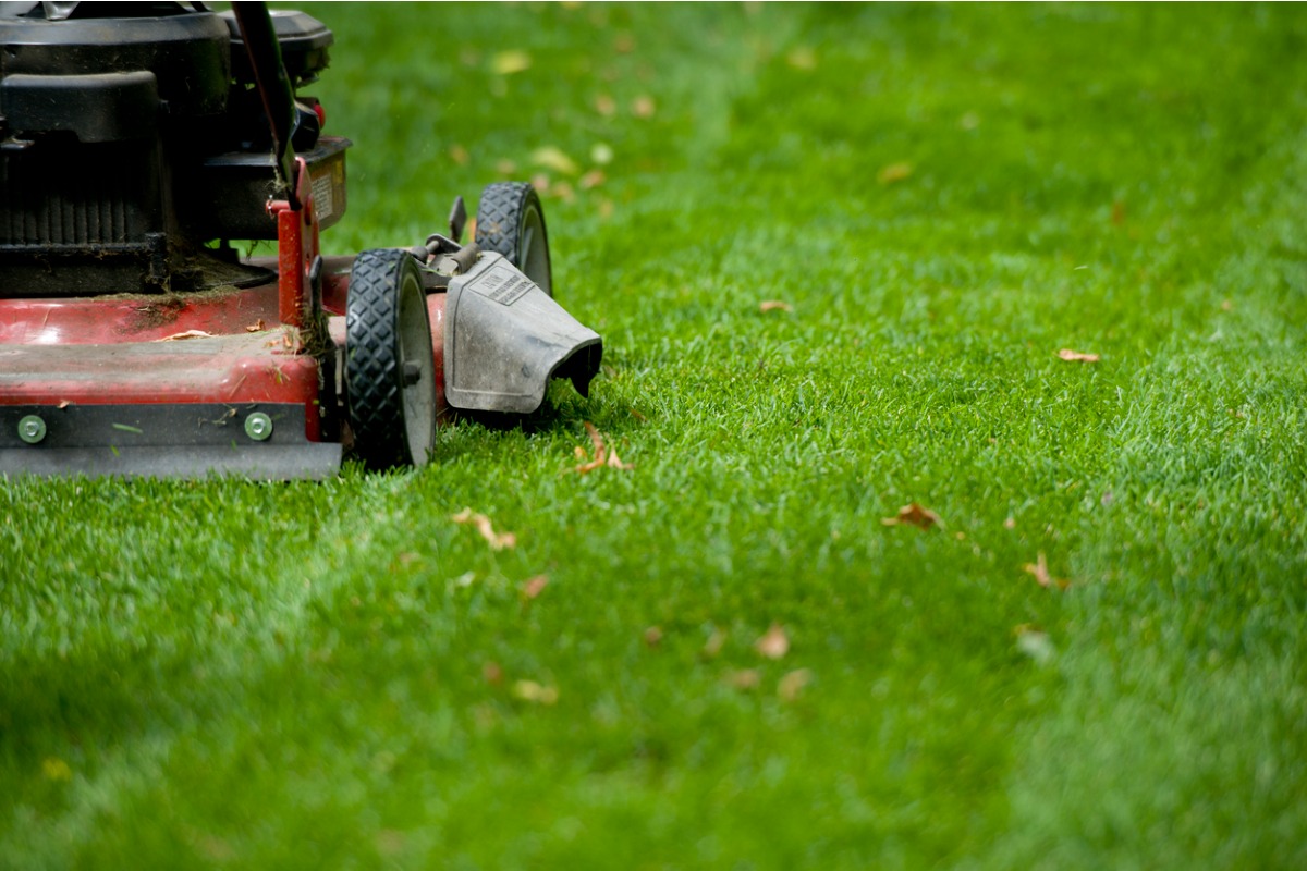 Red lawn mower cutting green grass with fallen leaves