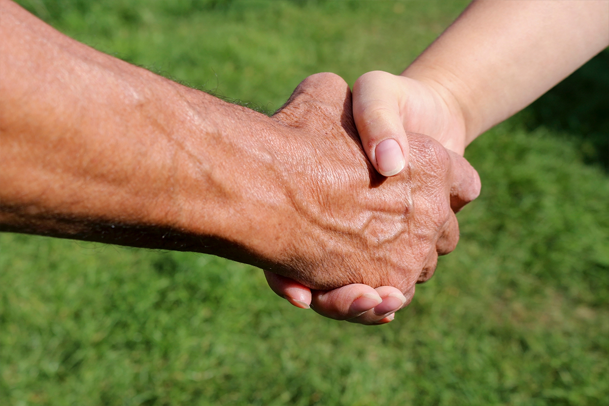 Two hands of different skin tones clasped together on green grass background