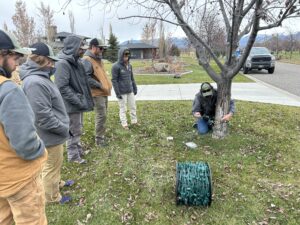 Group of people examining a tree and blue object in grassy area