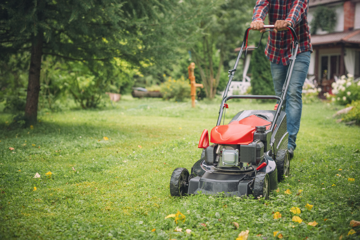 Red lawn mower cutting grass in a residential backyard with flowers
