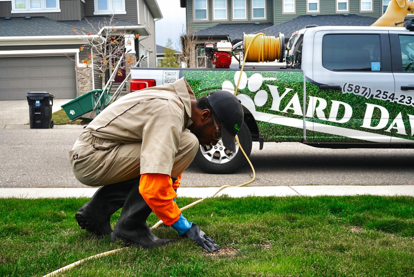 Yard worker crouching and working on lawn with service truck nearby