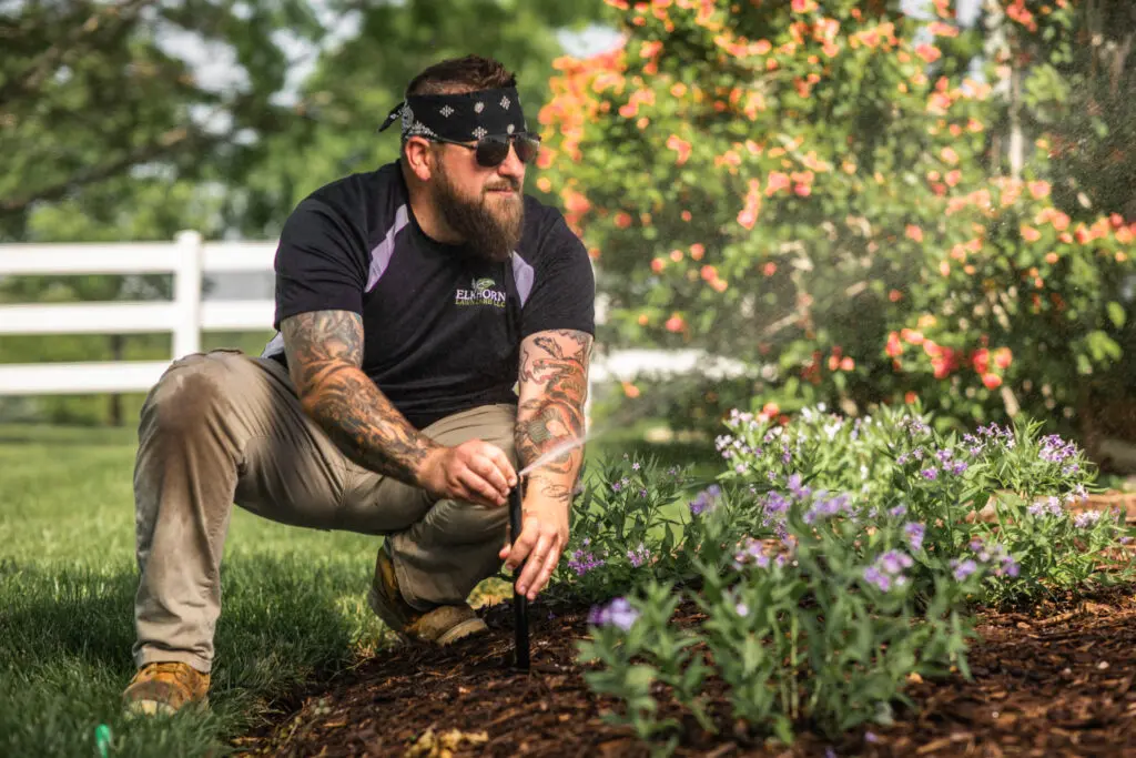 Tattooed gardener working in flower bed with purple and pink blossoms