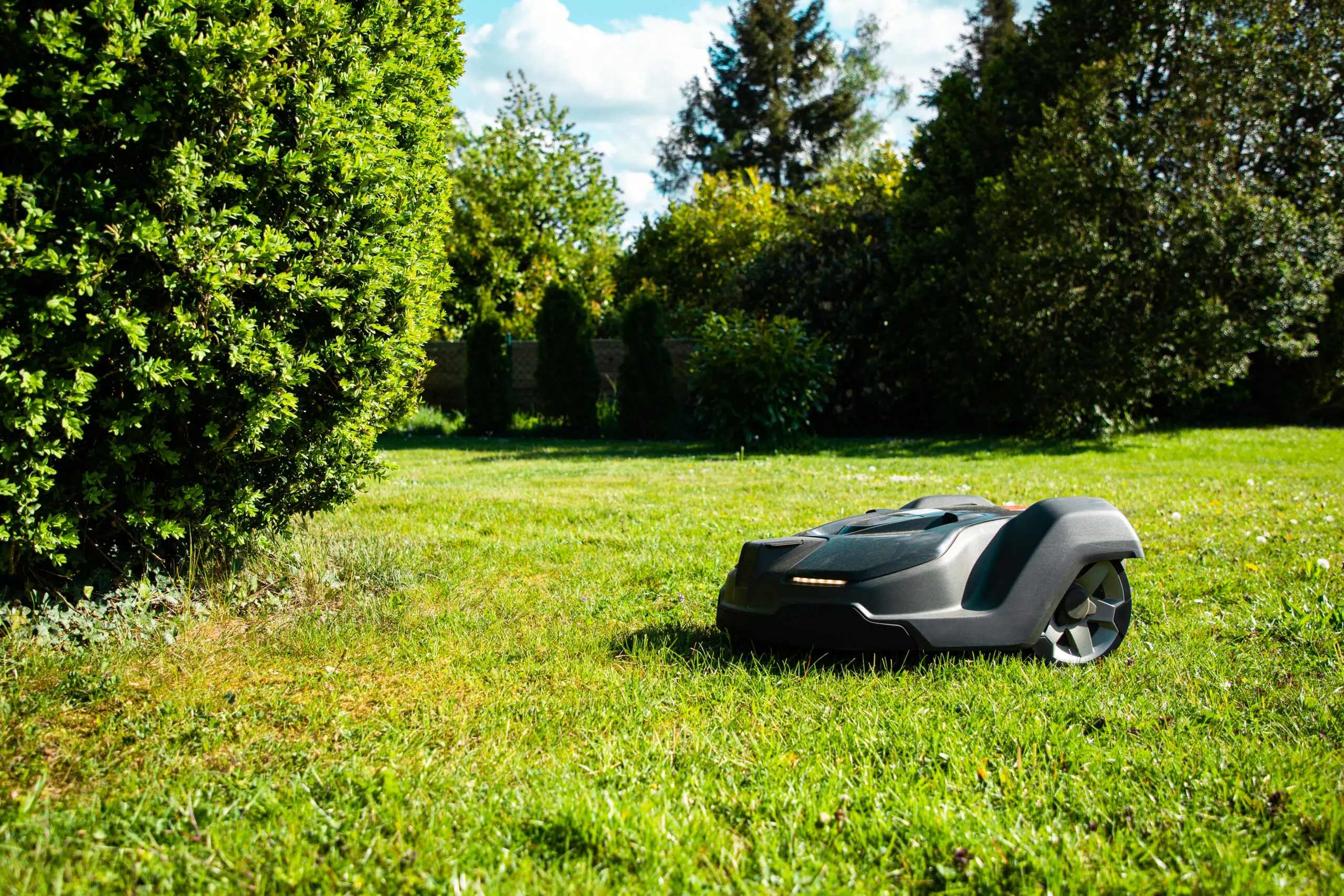 Robotic lawn mower on green grass in a sunny backyard garden