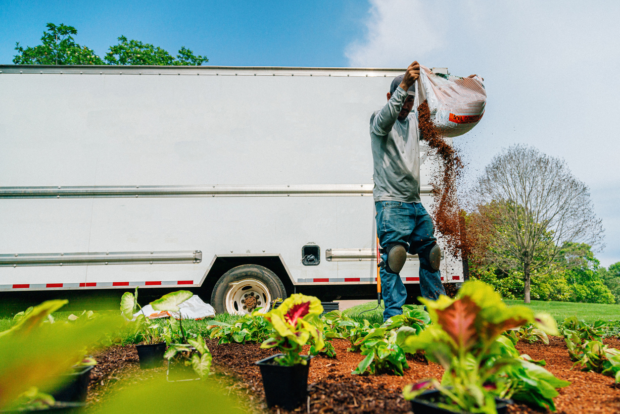Gardener pouring soil near potted plants and white trailer on sunny day