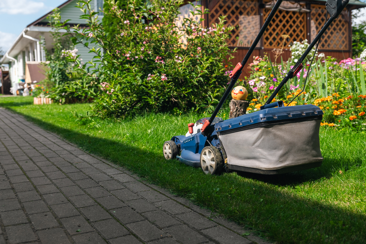 Blue lawn mower cutting grass next to brick pathway with colorful garden