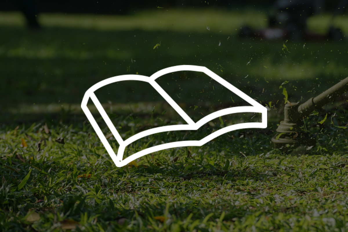 Open book icon floating over blurred green grass background