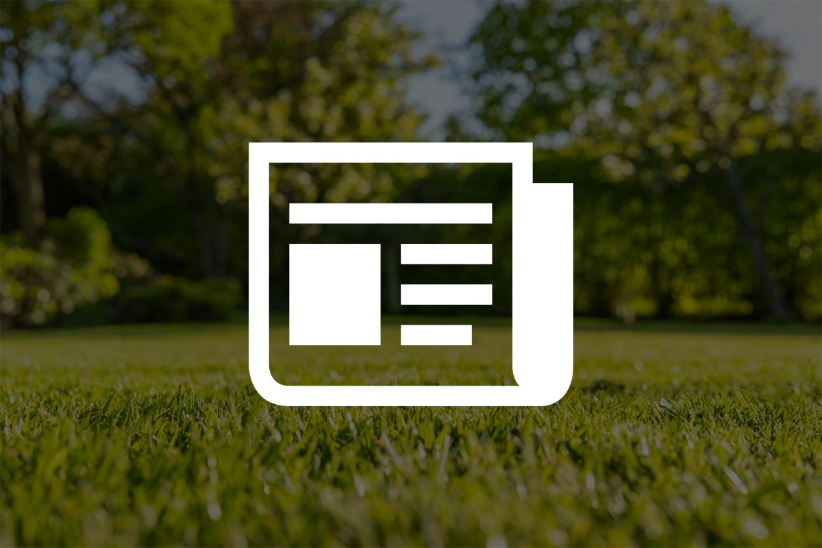 Newsletter icon on blurred green grass and trees background