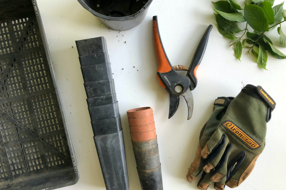 Gardening tools including pruning shears, gloves, pots, and green leaves