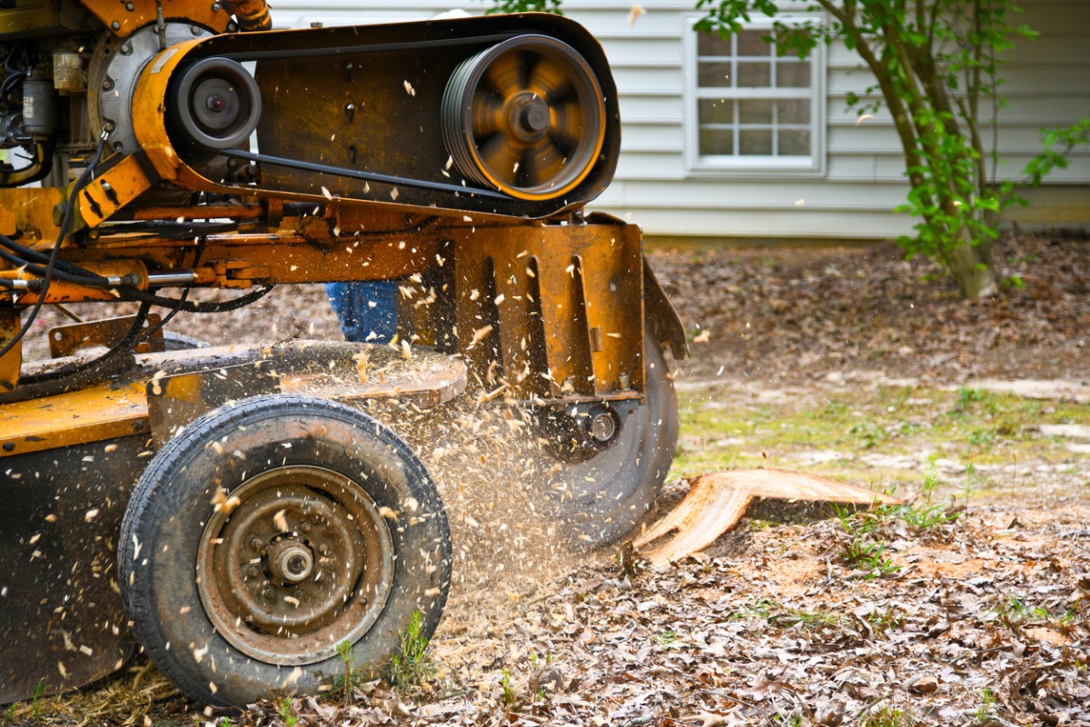 Wood chipper shredding tree debris with flying wood chips near house